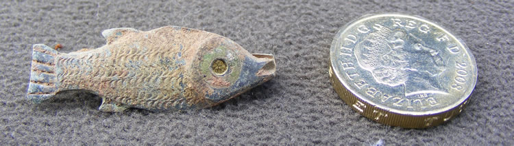 Enamelled fish brooch found during the 2010 Caerleon Excavations.